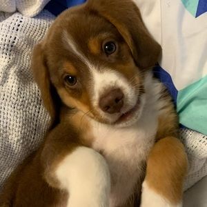 Meet your Posher, Katelyn